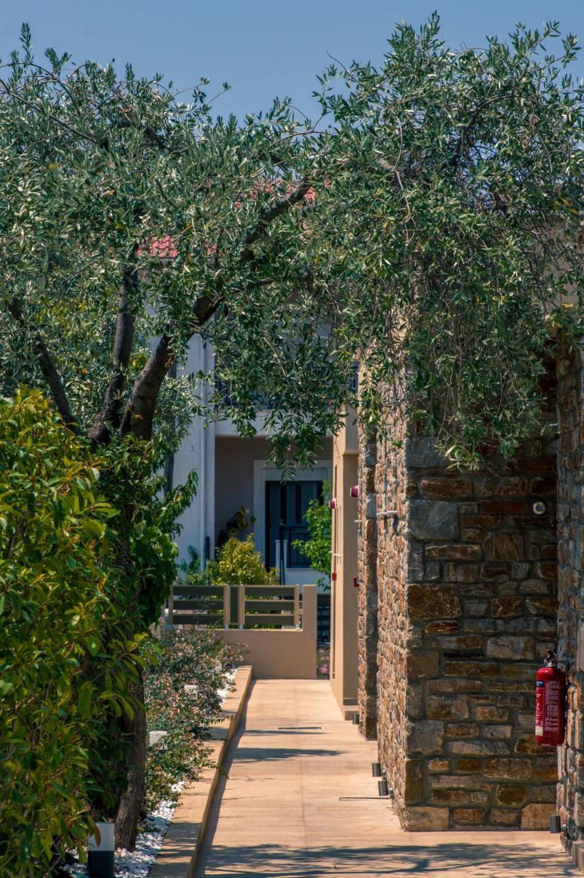 Astir Notos Hotel Potos Exterior photo